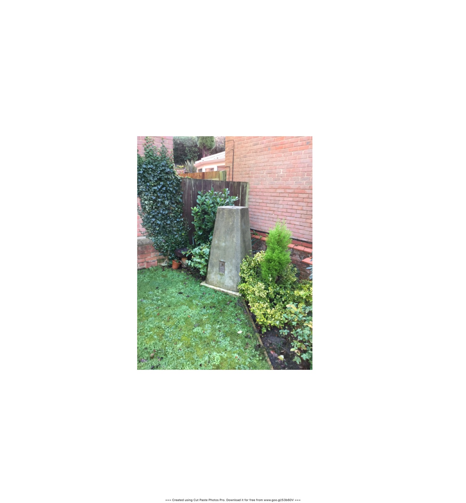 image.jpeg