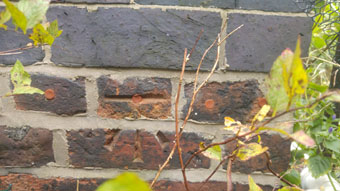 20171023_152519_1.jpg