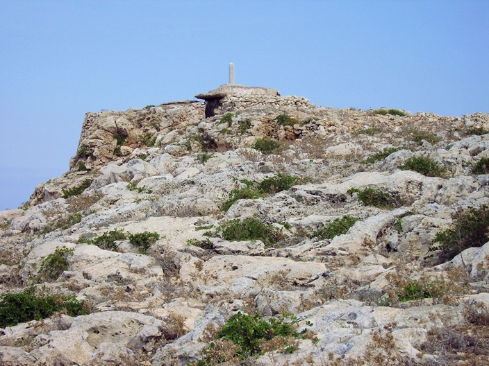 Bajoli 'Vanessa'