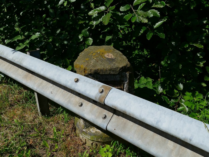 P1600013 (2).JPG