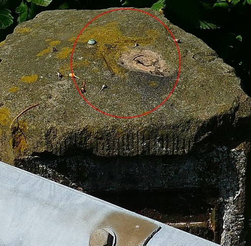 P1600013 (3).JPG