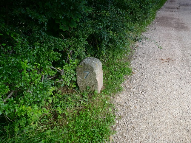 P1600426[7-20_Milestone_Marker].JPG