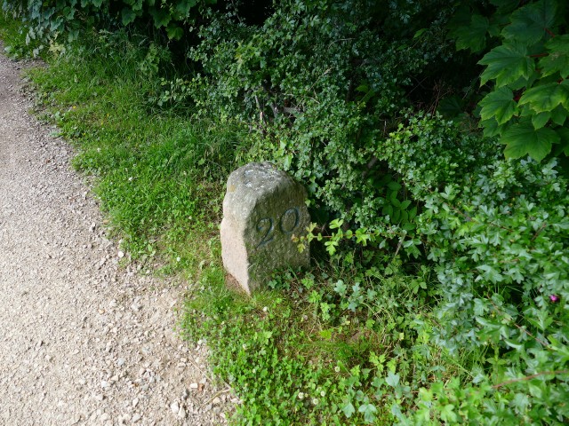 P1600427[7-20_Milestone_Marker].JPG